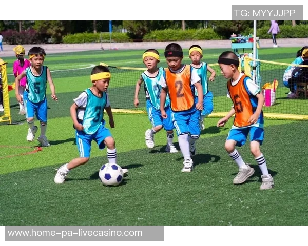 追逐梦想的绿茵场足球人生的荣耀与坚持